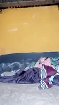 LULE37587001 online show from March 2026 06:40:02 AM