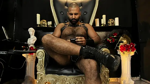 Snapshot of BeardAndrew chatting on June 2026 05:12:01 AM BeardAndrew online show from June 2026 05:12:01 AM