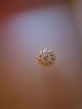 cuci45 online show from March 2026 06:30:02 PM