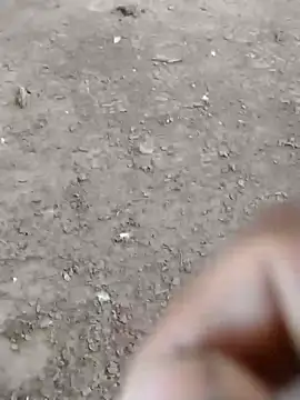 dheck2020 online show from January 2025 06:45:02 PM