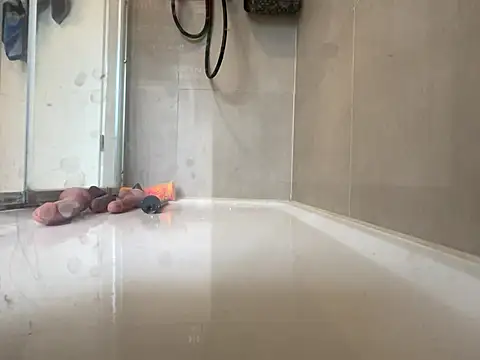 angelus112 online show from March 2026 03:56:01 PM