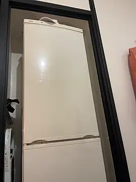 Mrbighardcock online show from January 2025 09:59:01 AM