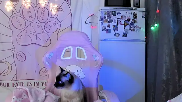 Holy420lolii online show from January 2026 06:23:02 PM