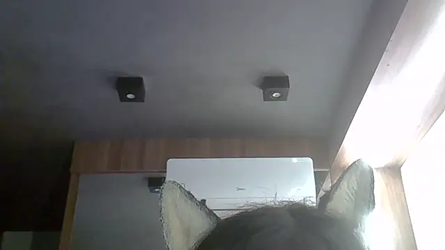 Skinny-Kitten online show from March 2026 12:15:01 AM