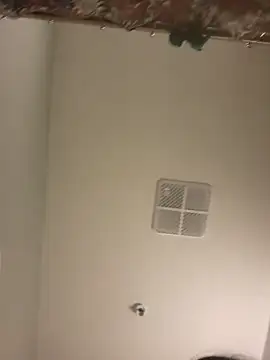 Snapshot of lofibunni chatting on April 2026 05:17:01 PM lofibunni online show from April 2026 05:17:01 PM