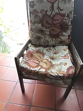 Blanco2023 online show from March 2026 02:06:02 PM