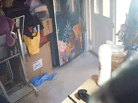 baobao26 online show from May 2026 06:43:02 AM