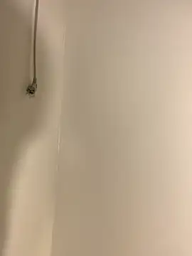 Aania online show from November 2025 05:37:01 PM