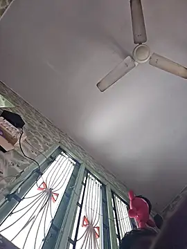 rooster6 online show from March 2026 04:07:02 AM