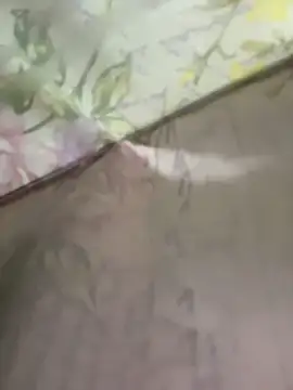 my-kitty online show from June 2026 02:53:01 AM