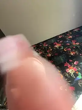 Bella-Tight online show from April 2026 07:23:02 AM