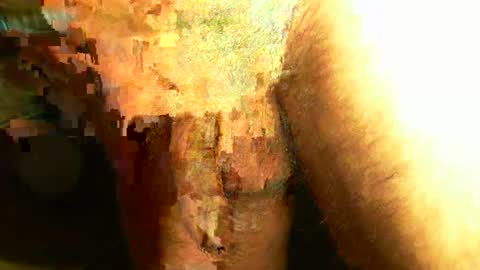 Snapshot of 00adam00 chatting on February 2026 02:33:01 AM Adam online show from February 2026 02:33:01 AM