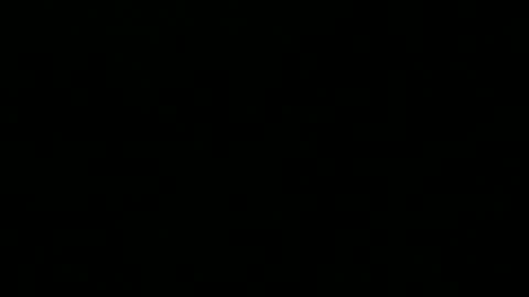 Snapshot of 0815____pet chatting on December 2024 08:31:02 PM Peter online show from December 2024 08:31:02 PM