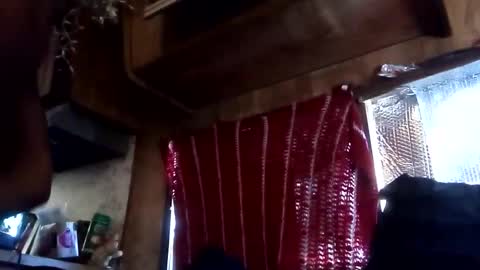 15592686874_callme_or_facetime online show from October 2025 07:12:01 PM