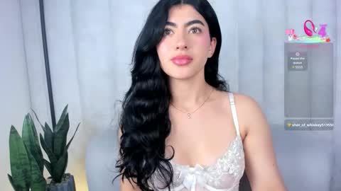  . online show from December 2025 08:38:02 PM