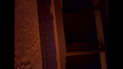 1st___ online show from March 2026 05:53:01 AM