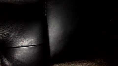 30nick online show from January 2026 07:37:02 PM