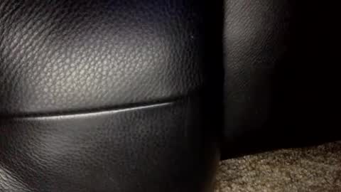 30nick online show from January 2026 06:39:01 AM