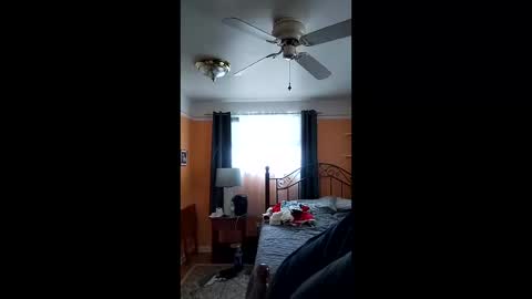 32666damon online show from December 2025 06:23:01 PM