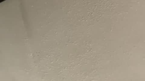 431mcnasty204 online show from March 2026 03:57:02 AM