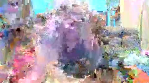 666afrodite online show from November 2025 03:05:01 AM