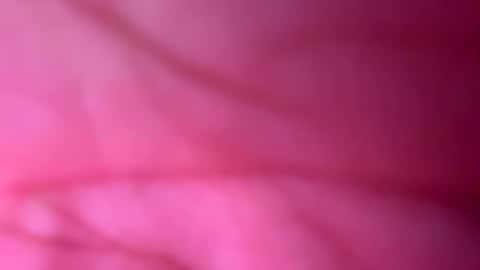 666xoxo online show from October 2025 11:41:02 AM