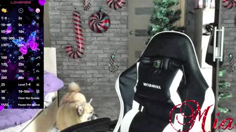 Snapshot of 666mia666 chatting on December 2024 08:11:02 AM Mia my pvt is open and lovense is active online show from December 2024 08:11:02 AM