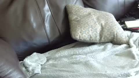 66bear online show from January 2025 06:57:02 PM