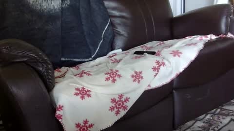 66bear online show from October 2025 05:33:02 PM