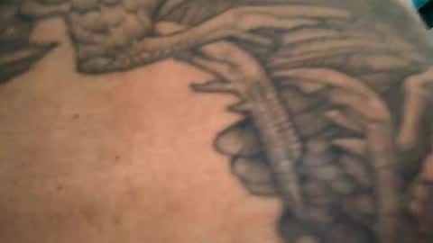 6990fiko online show from December 2024 02:05:02 PM