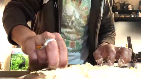 6990fiko online show from February 2025 05:47:02 PM