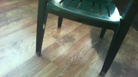 69forever453443 online show from September 2025 01:00:02 PM