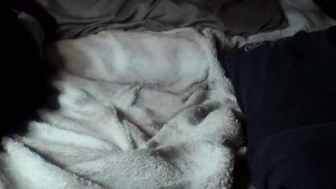 8675309r2d2 online show from September 2025 09:10:02 AM