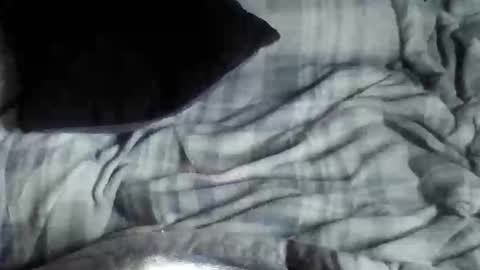 8675309r2d2 online show from September 2025 03:54:01 AM