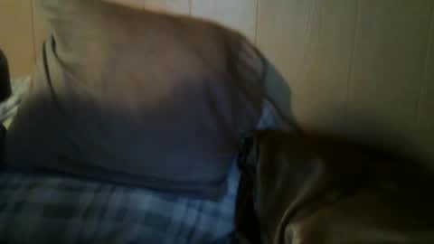 8675309r2d2 online show from September 2025 07:57:01 AM