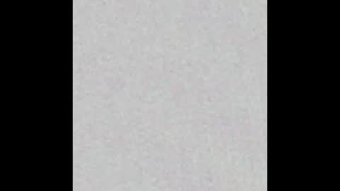 8Inchpunkpup online show from September 2025 10:51:01 AM