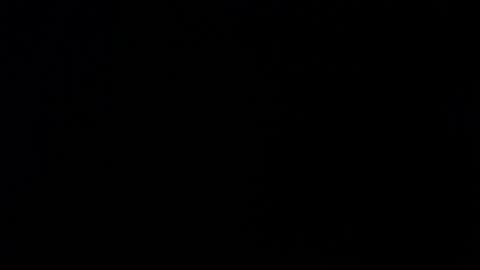 Alexa online show from November 2025 11:55:02 AM