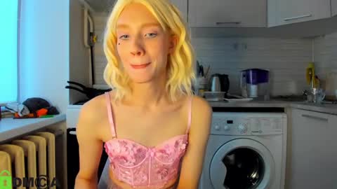 Gaylord online show from December 2024 12:29:02 PM