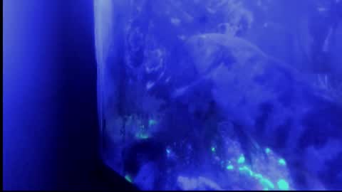 Giulia...... online show from October 2025 04:37:01 AM