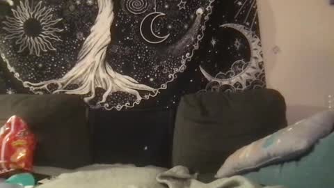 Snapshot of _bandit_b0y chatting on February 2025 02:05:02 AM bandit online show from February 2025 02:05:02 AM