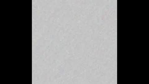 Brenda online show from September 2025 11:55:02 AM