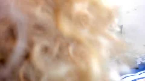 _charlottedavis online show from January 2026 12:04:01 AM