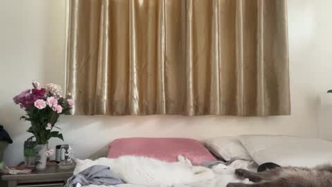 Chelsea xo online show from February 2025 09:16:02 PM