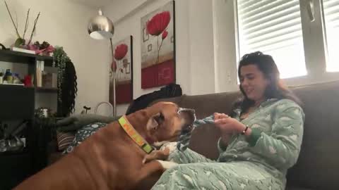  elena barra online show from November 2025 12:41:02 PM