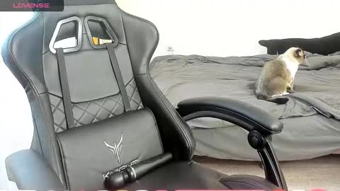 Alis online show from October 2025 07:27:02 AM