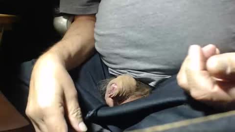 Snapshot of _jimmini chatting on November 2025 05:04:02 PM _jimmini online show from November 2025 05:04:02 PM