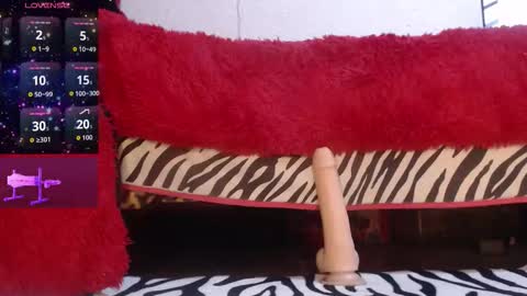 leyla online show from October 2025 01:38:01 AM