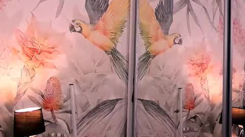 Lisa online show from January 2025 09:55:02 PM