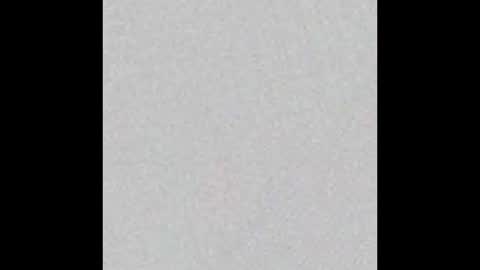 _maccaa_ online show from November 2025 12:06:01 PM