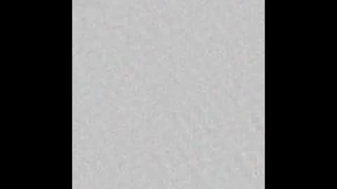 _maccaa_ online show from December 2025 12:22:01 PM